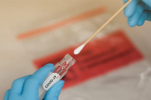 gloved hands holding coronavirus test swab