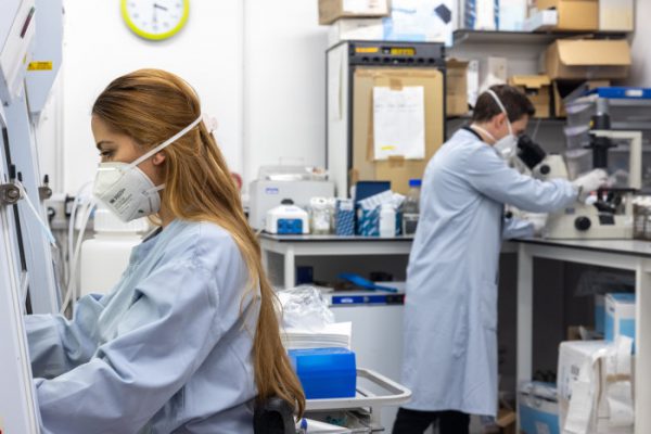 lab workers in masks